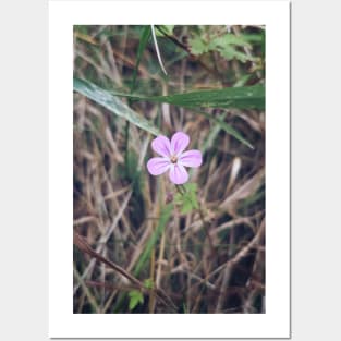 Pink flower Posters and Art